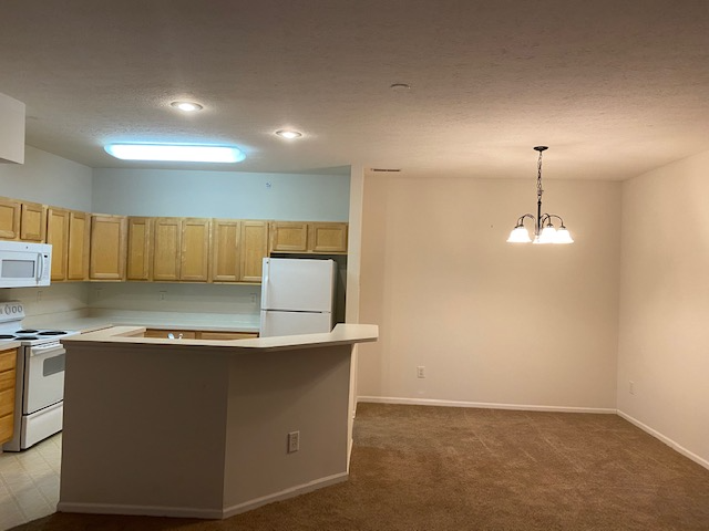 6543 Dorothy's Creek – photo 5