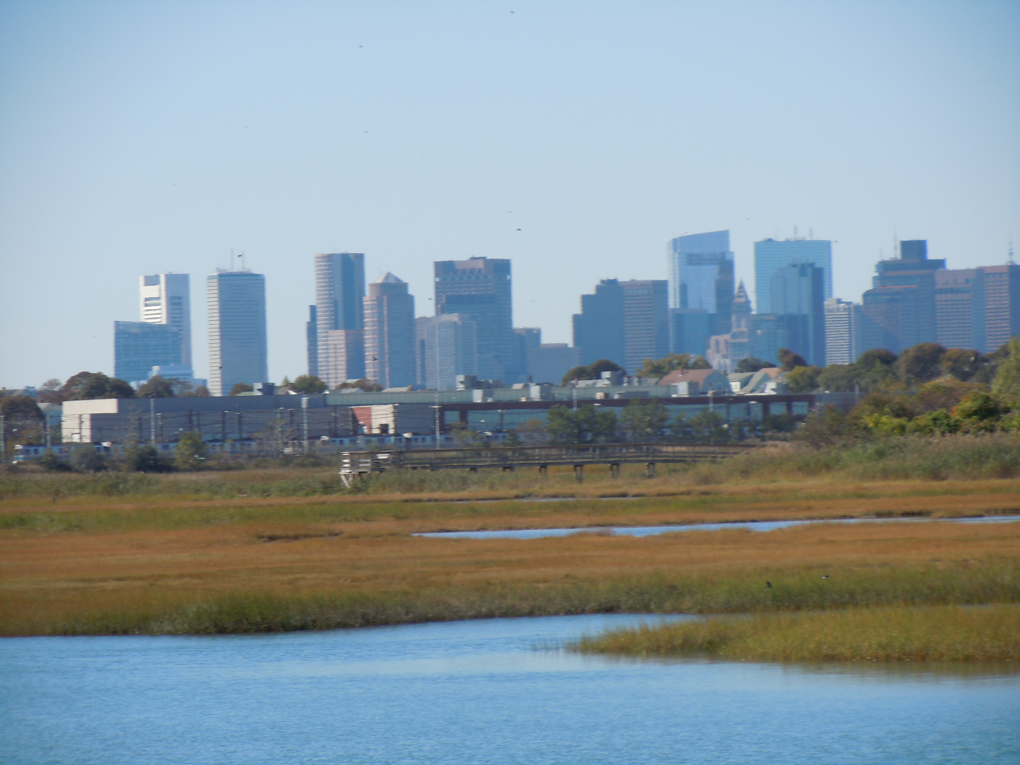103 Summer St – photo 5