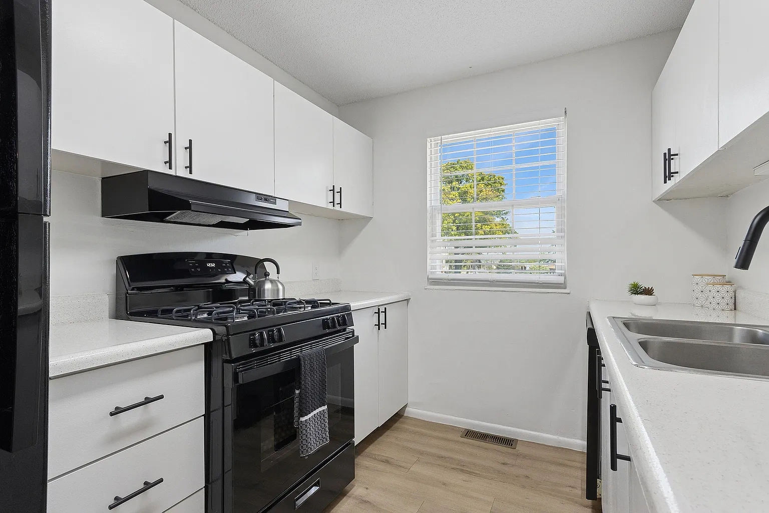 ReNew on Lindbergh – photo 2