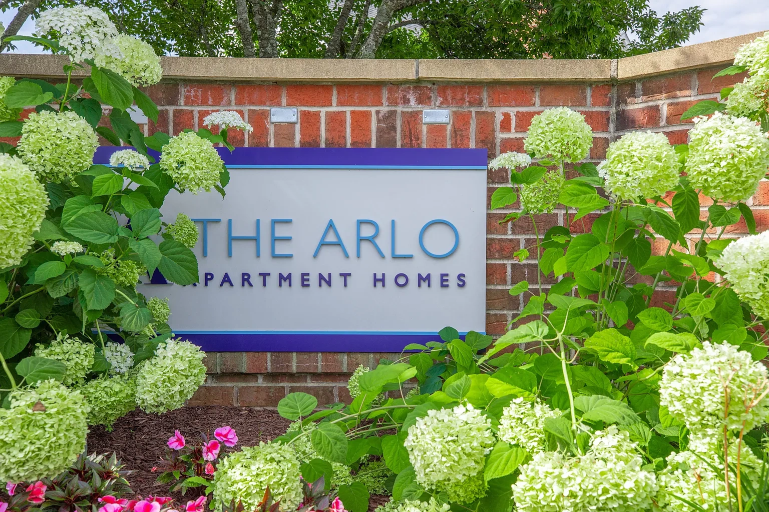 The Arlo – photo 3