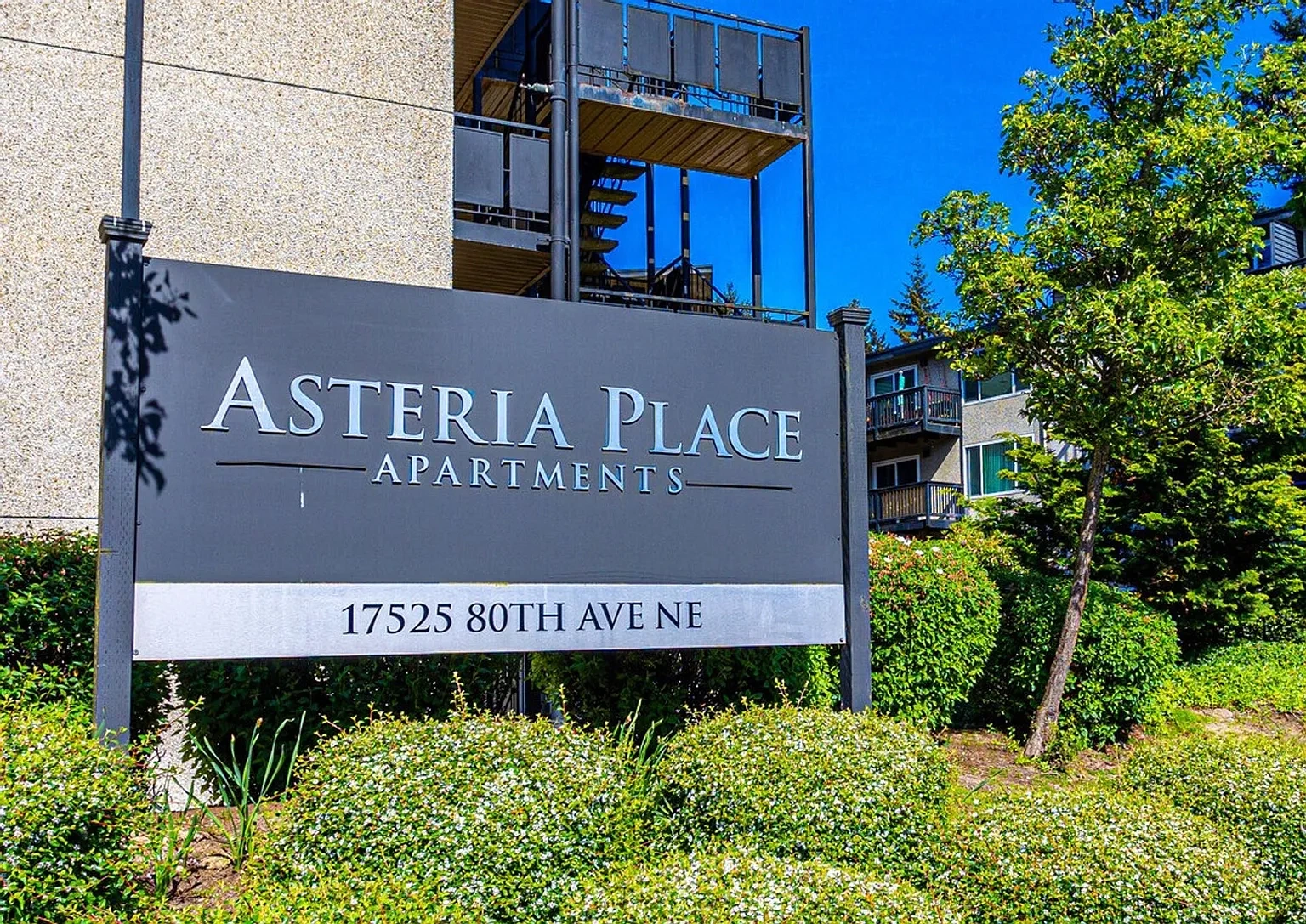 Asteria Place Apartments – photo 4