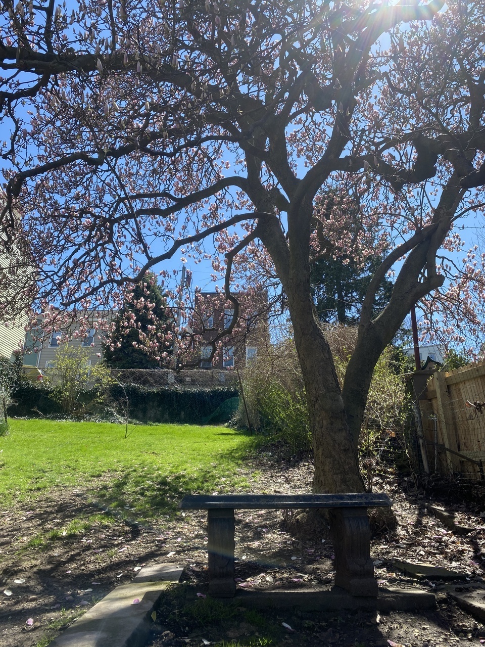 3532 Melwood Ave – photo 4