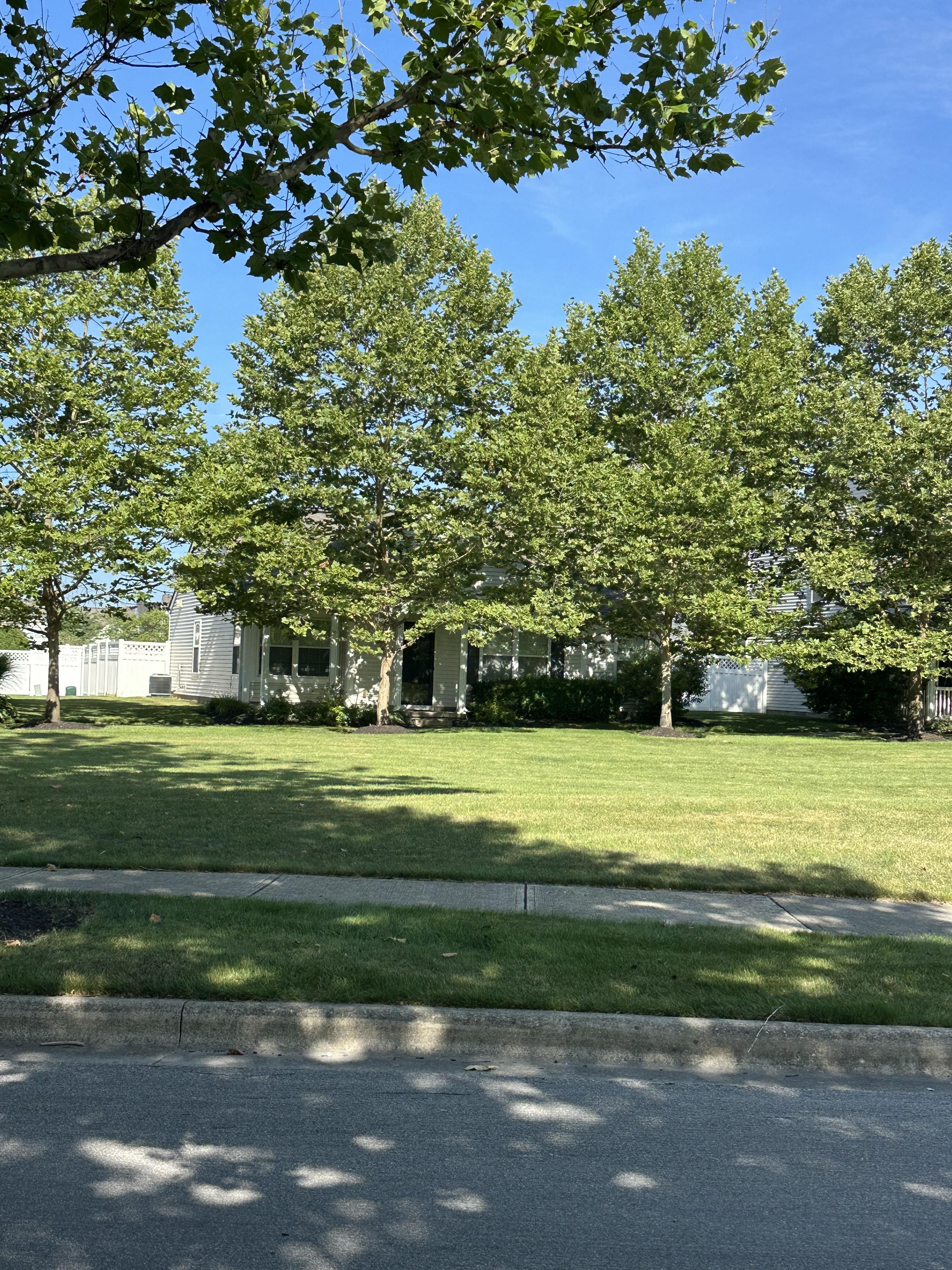 5994 Inslee Rd – photo 1