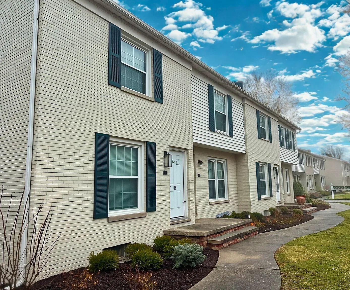 Hudson Yard Townhomes – photo 3