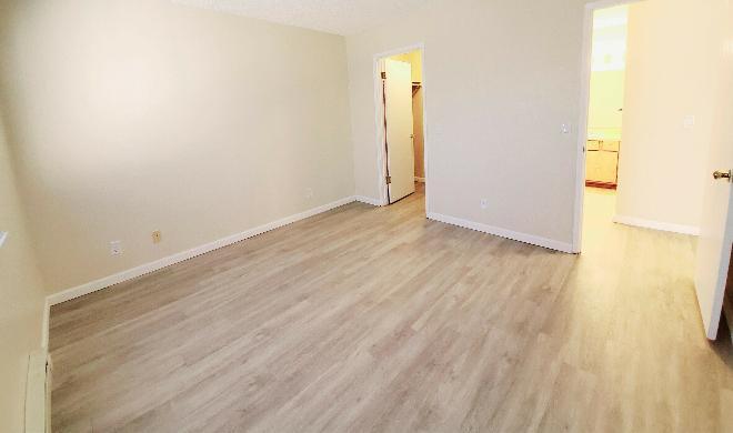 2557 Alvin Ave – photo 4