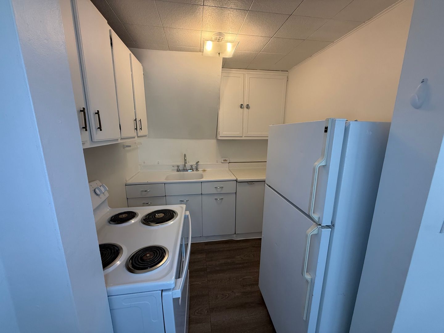 421 S Chestnut St unit #4 – photo 2