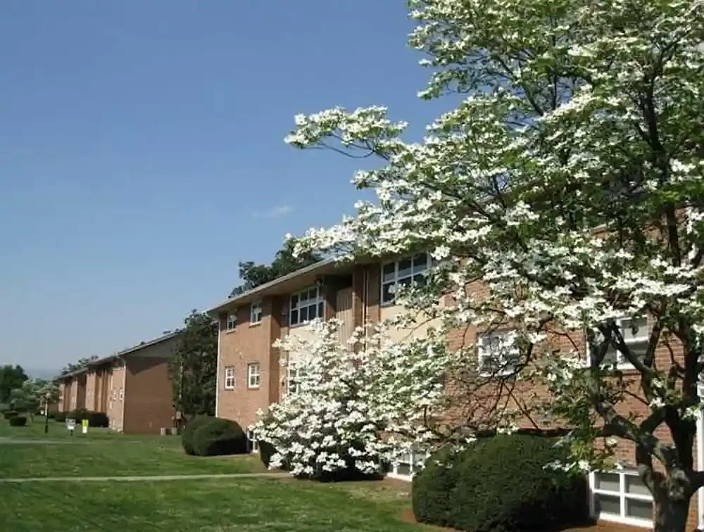 Park Towne Apartments – photo 3