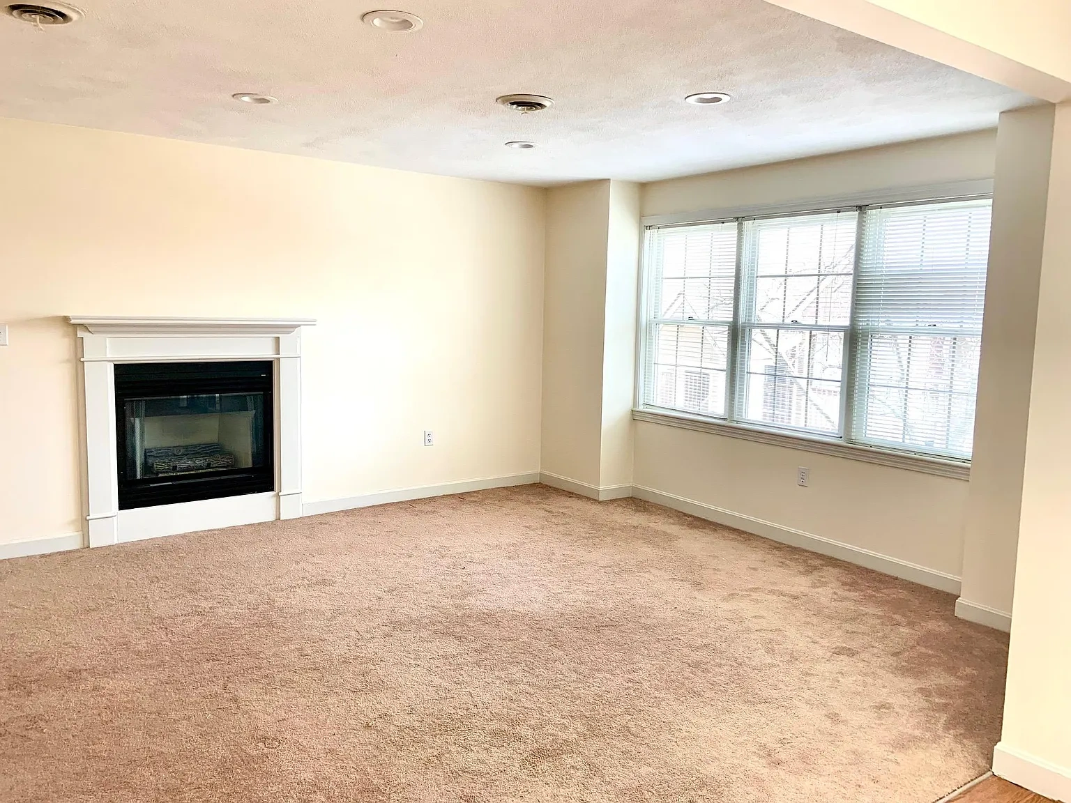 Briar Glen Village – photo 1