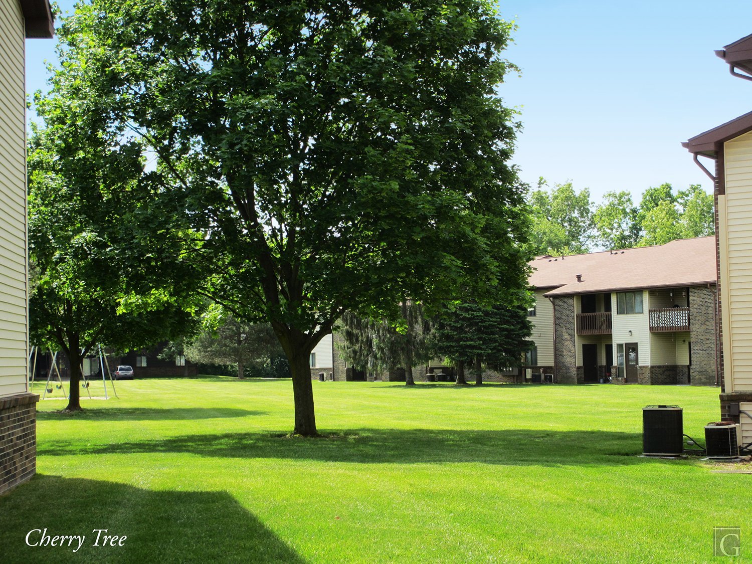 49 Cherry Tree Ln – photo 5