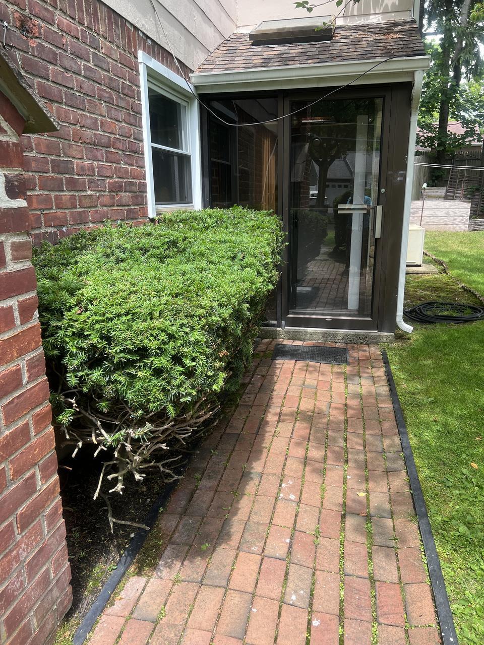 11 Carrol Pl – photo 2