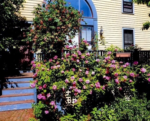 71 Abbottsford Rd – photo 1