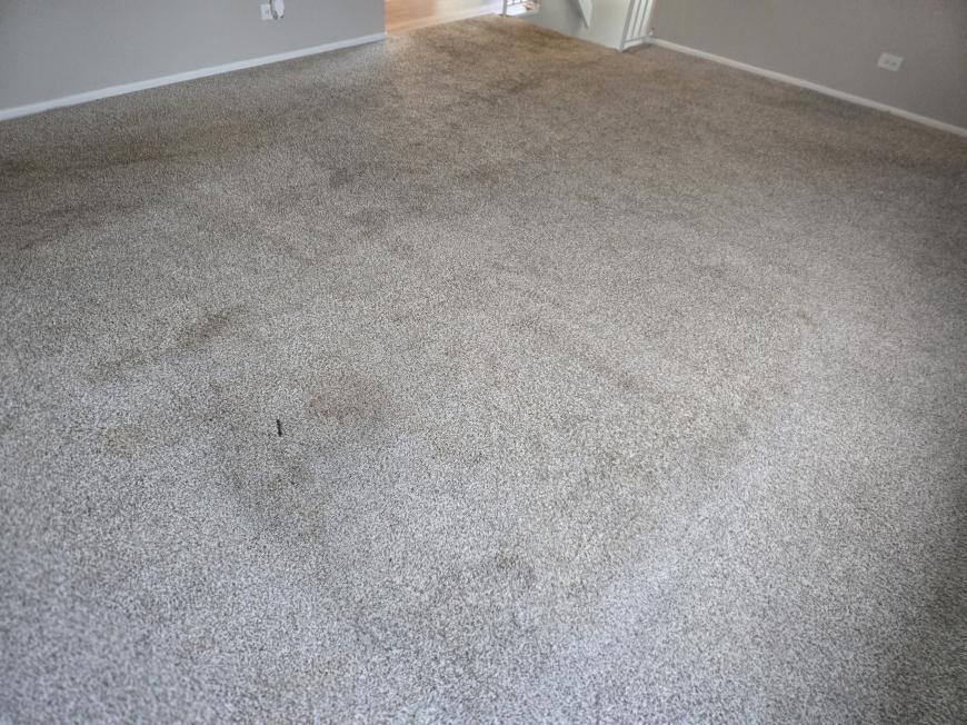 748 Manteca Ct – photo 4