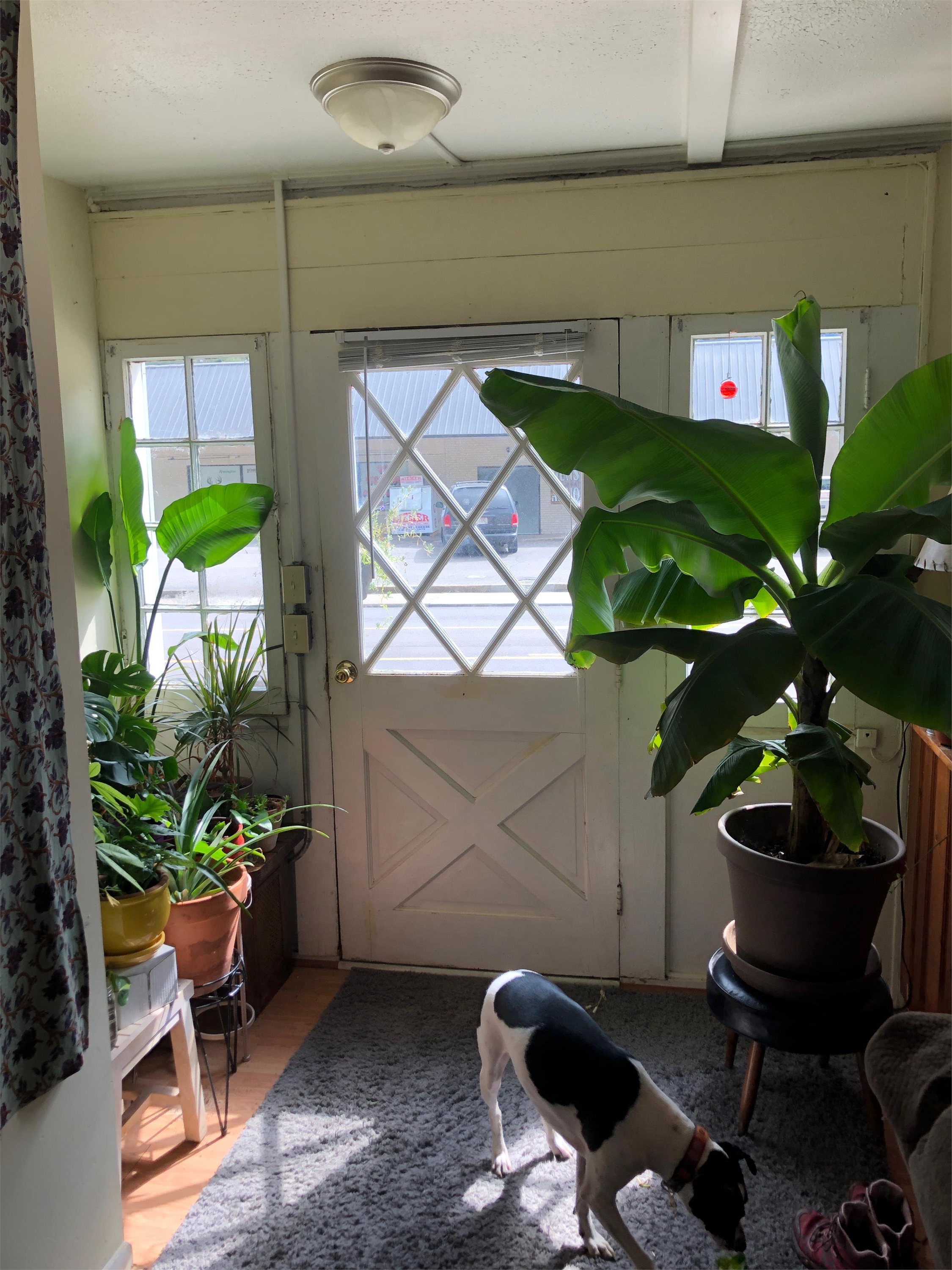 465 Richland Ave unit E – photo 1