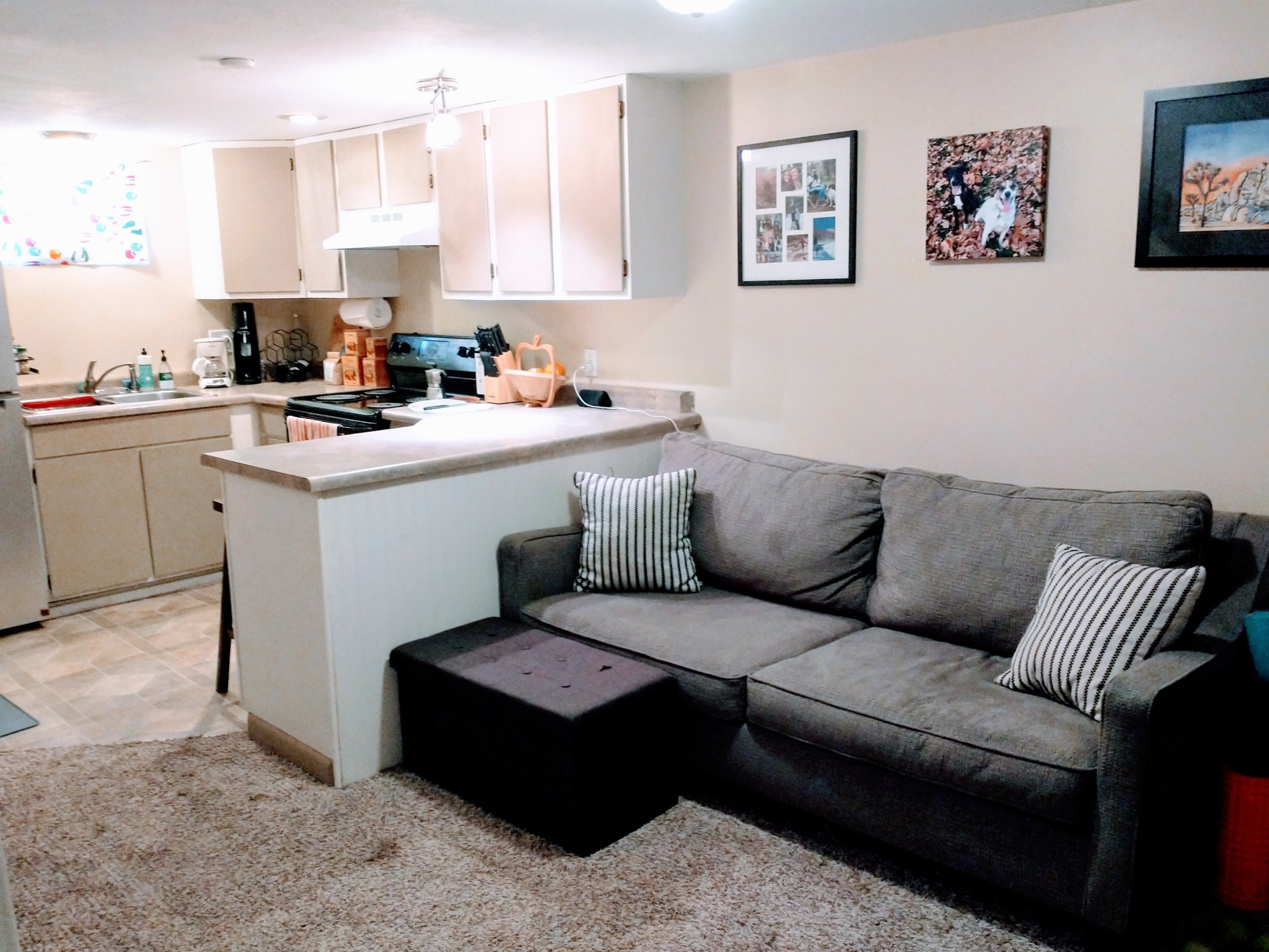 1539 S 300 E unit Lower Level – photo 2