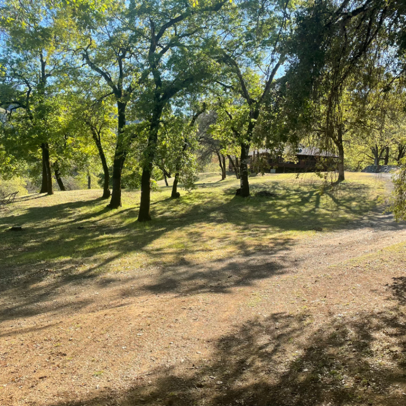 8670 Feliz Creek Dr – photo 2