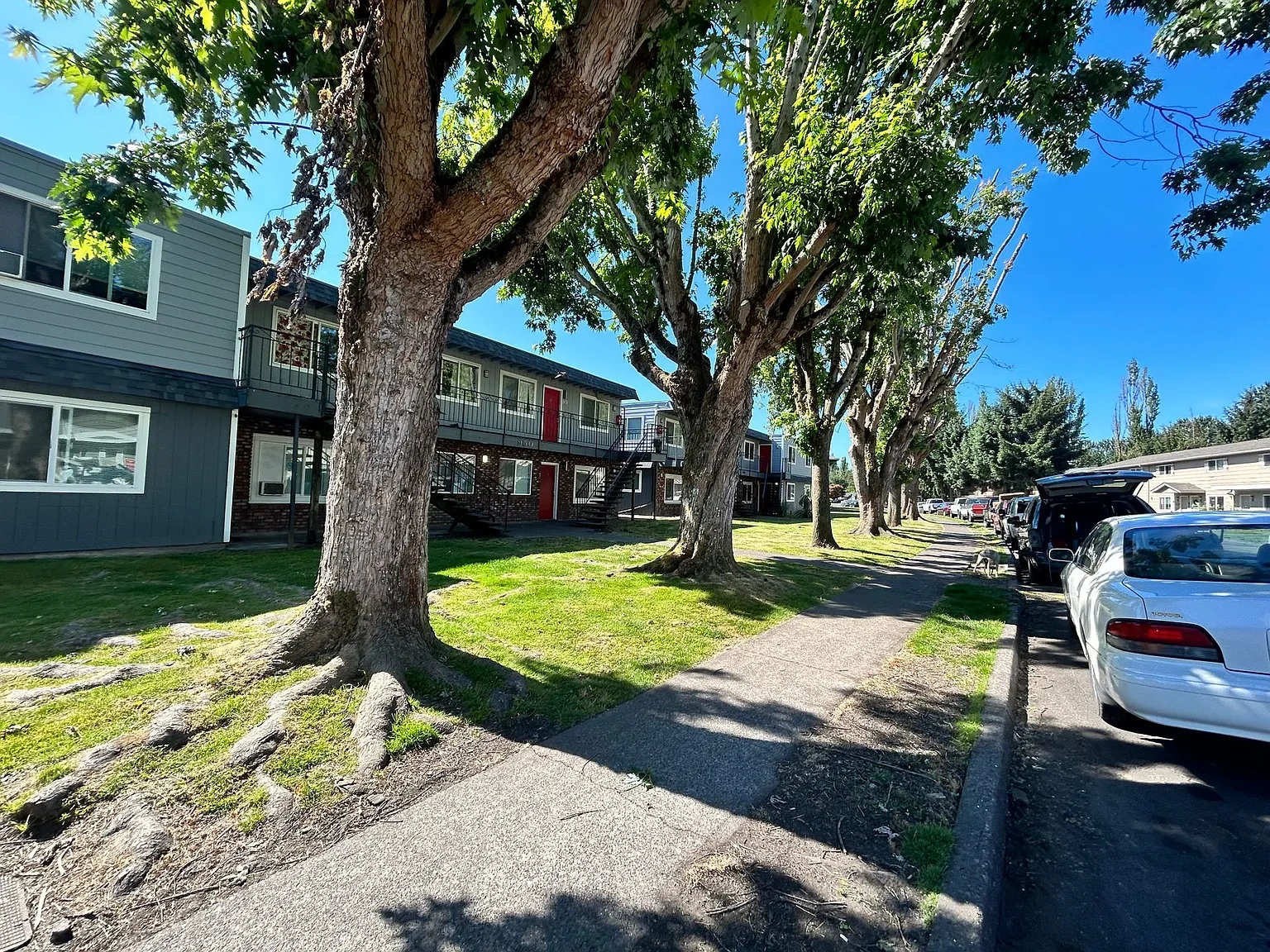 Park Place South LLC – photo 3