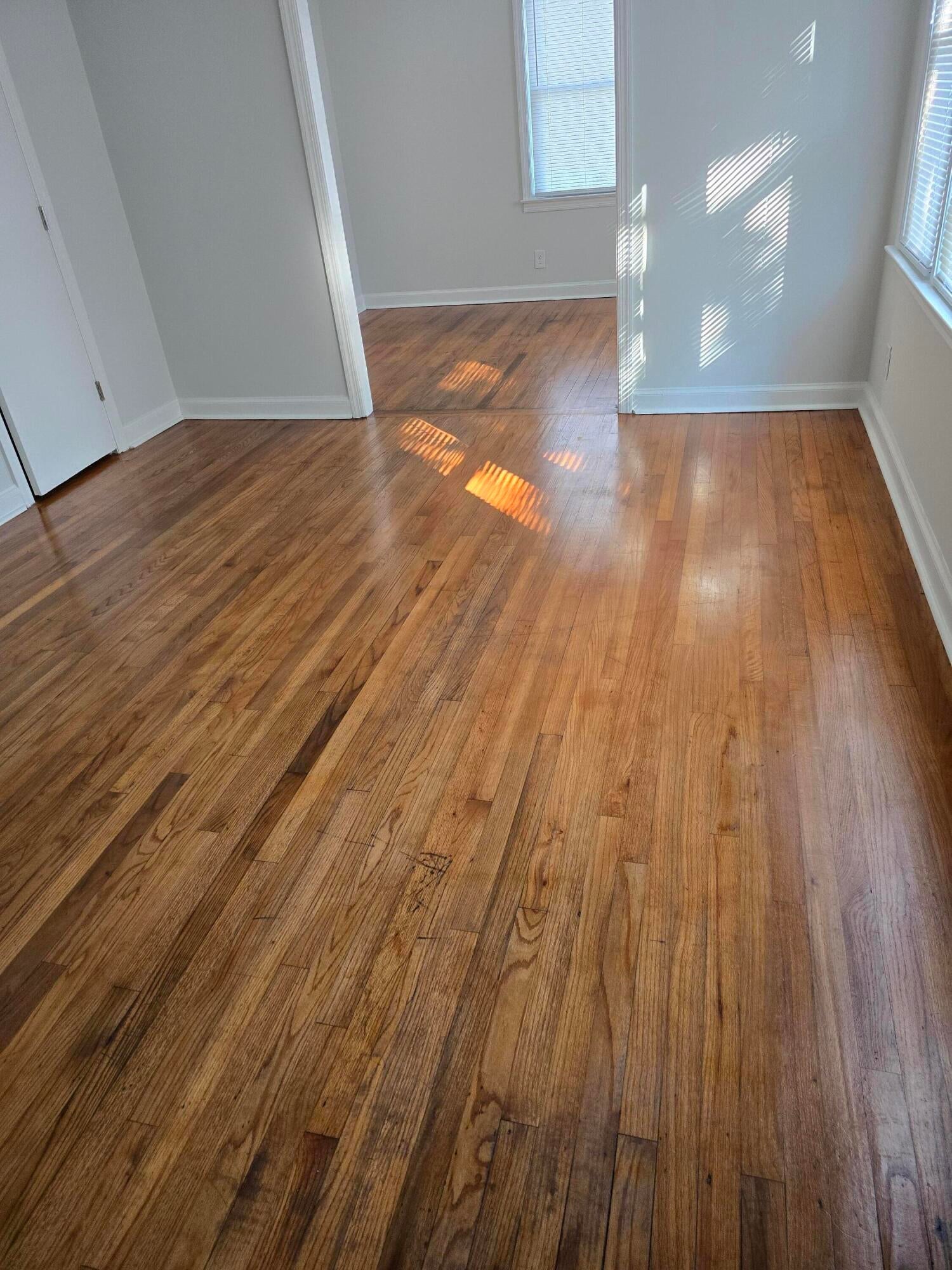 300 Mary Scott Dr – photo 5