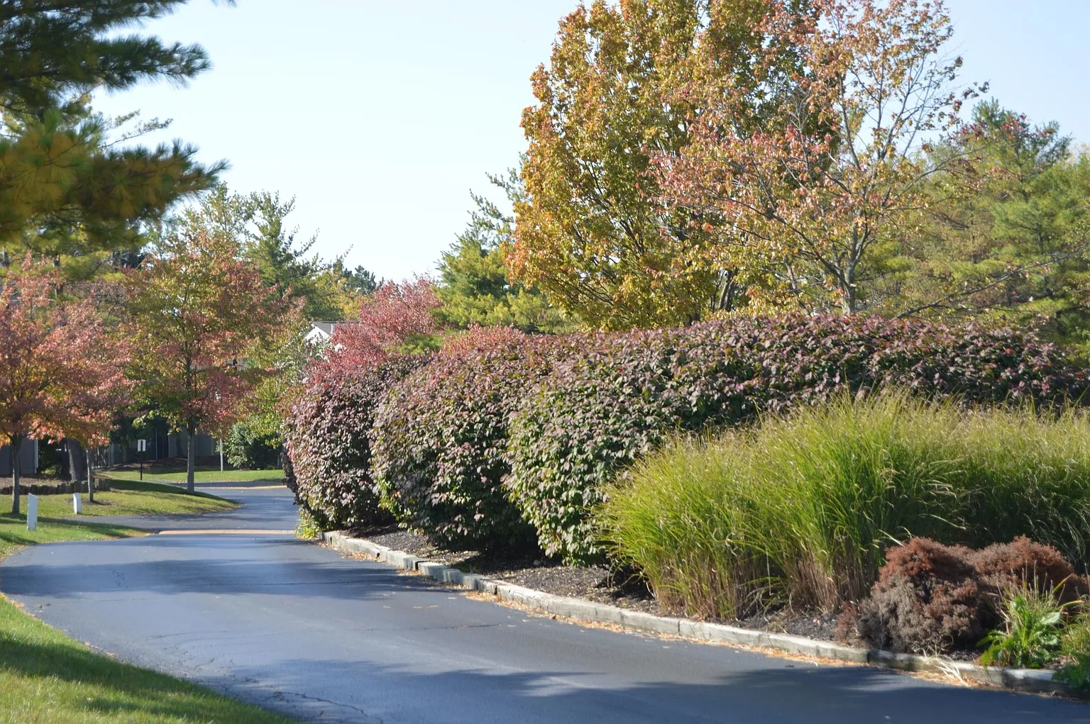 Woodridge Apartments – photo 2