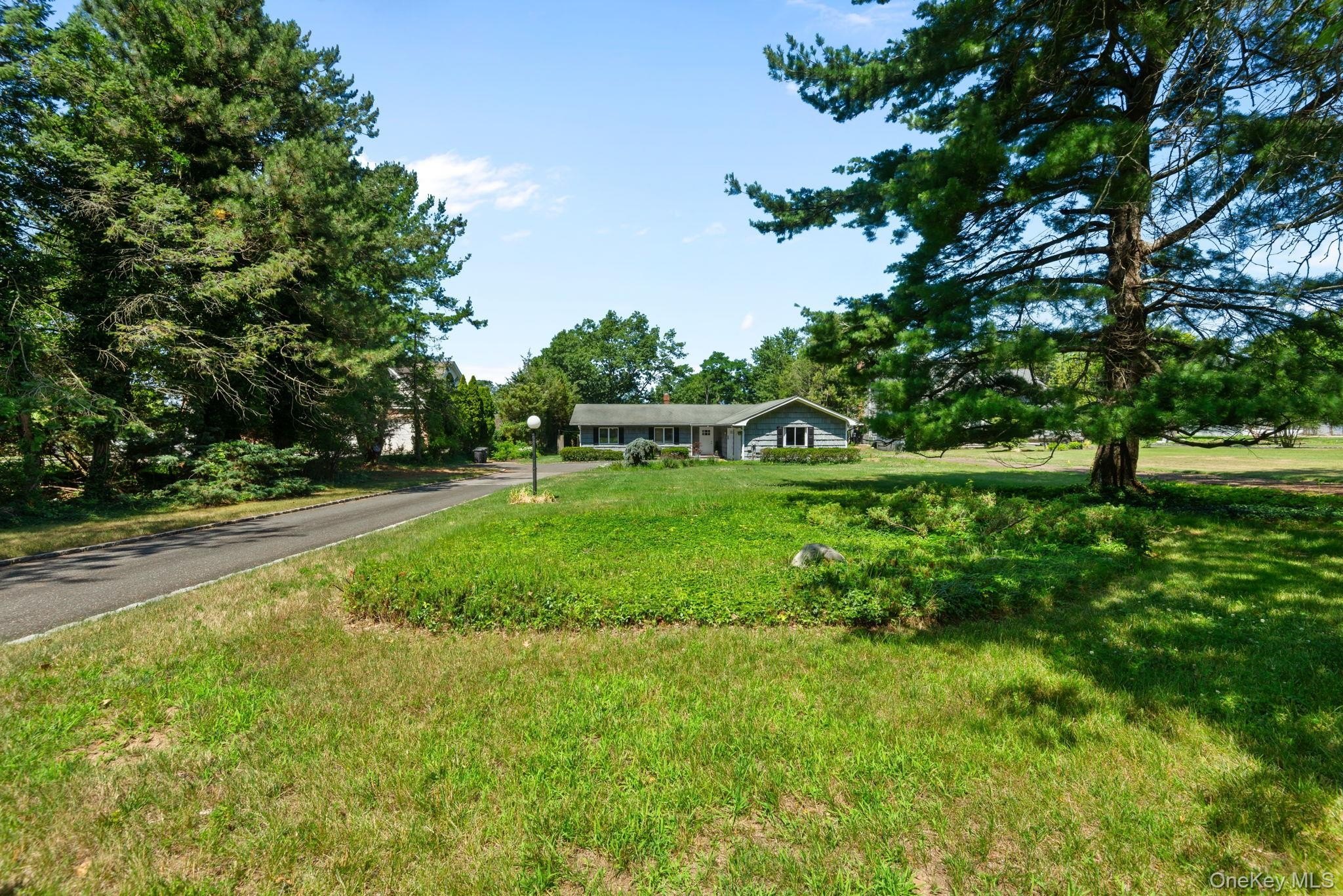 37 Cairo Ave – photo 4