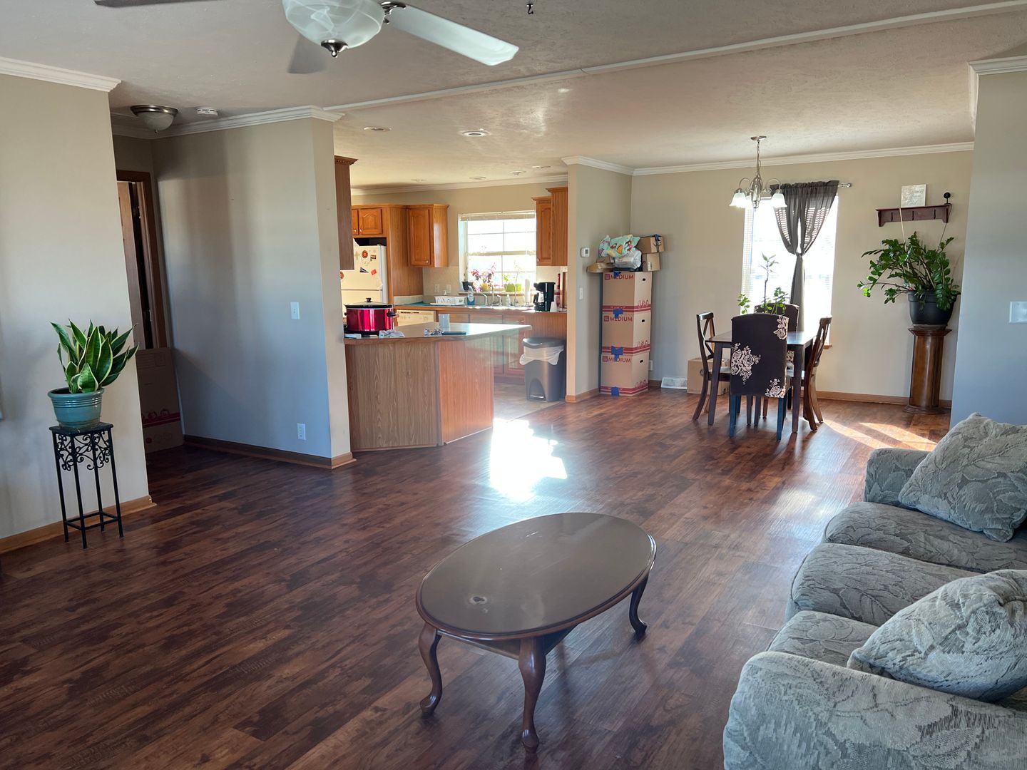 303 Grace Dr – photo 3