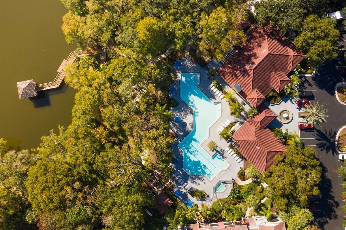 Grande Oasis at Carrollwood – photo 2