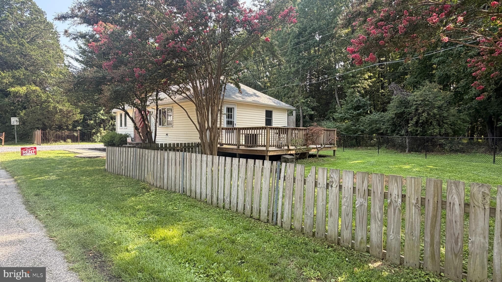 229 Maryland Ave – photo 3