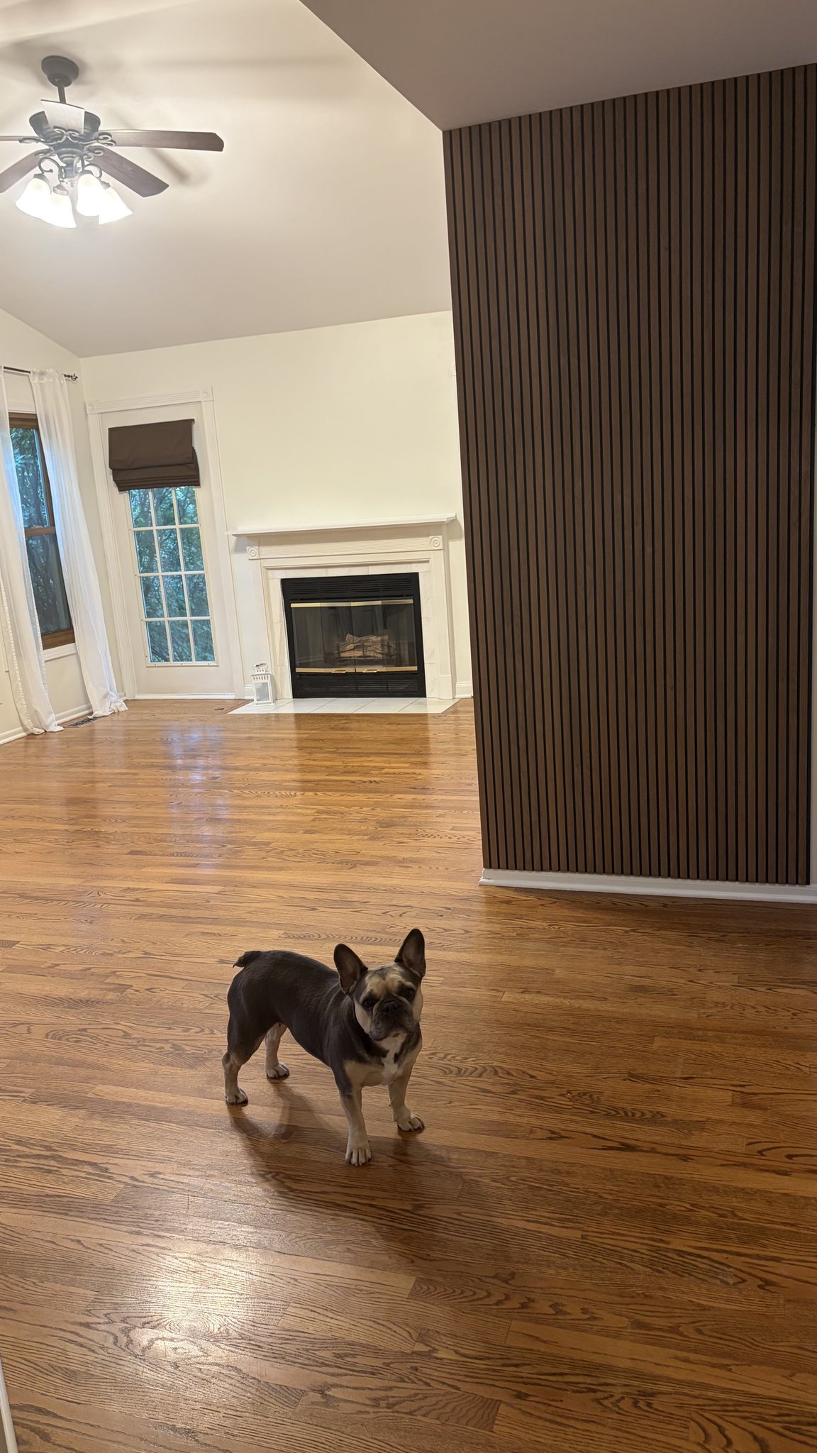113 N Fiore Pkwy – photo 1