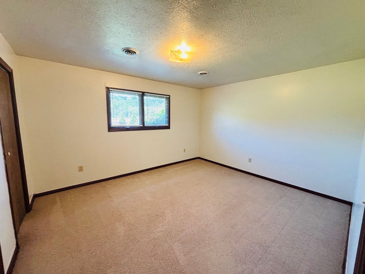 4402 Riffe St – photo 5