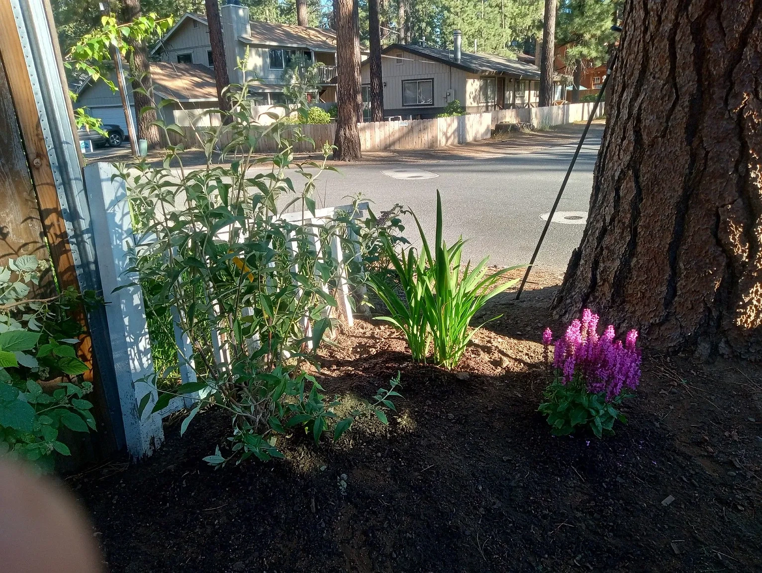 966 Modesto Ave – photo 1