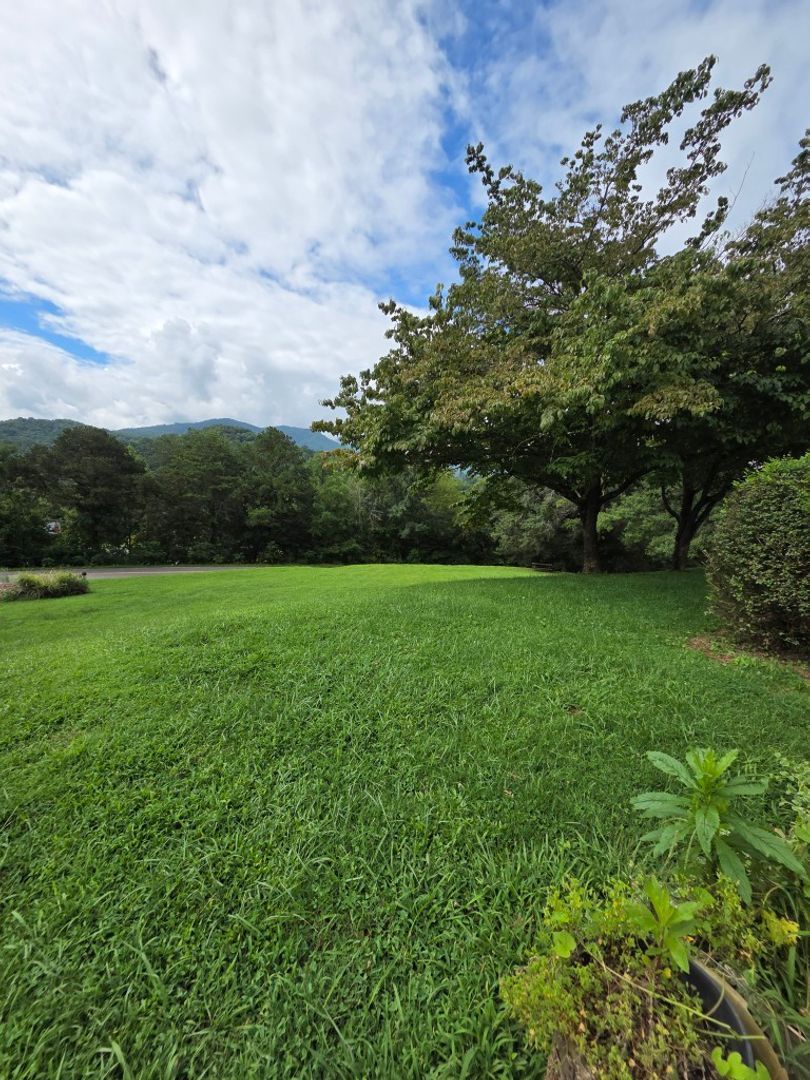 83 Sandlin Rd – photo 4