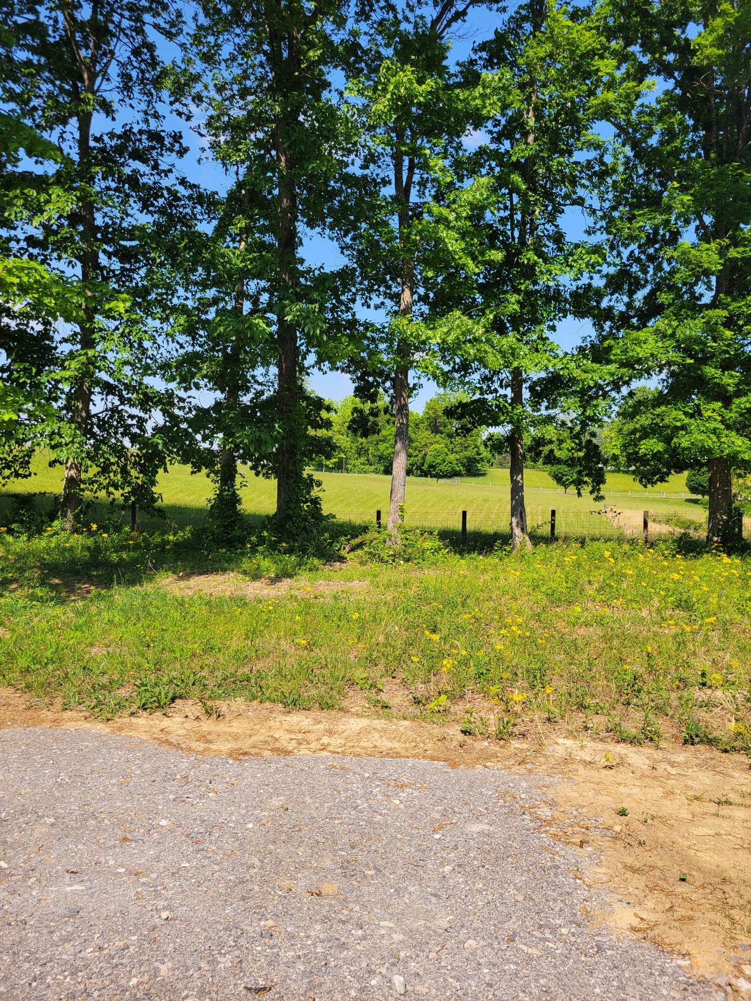 75 W Everett St – photo 4