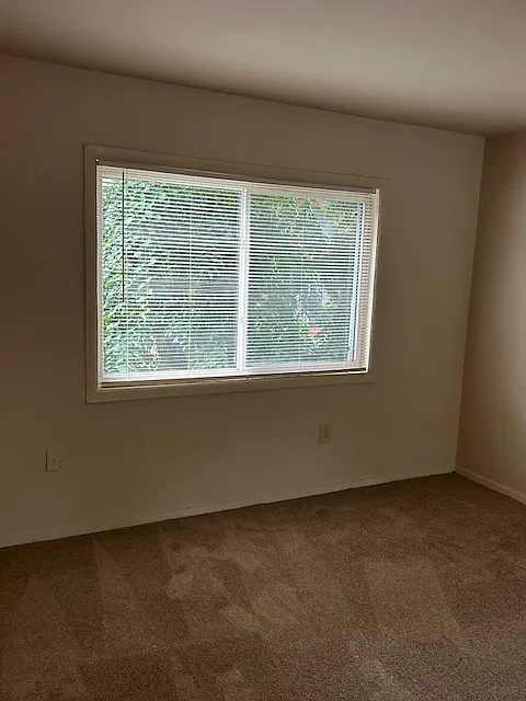 Southern Terrace – photo 4