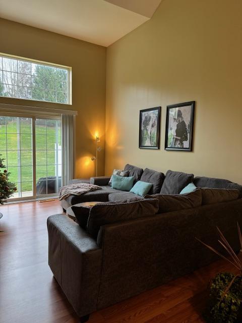 29393 Hummingbird Cir – photo 4