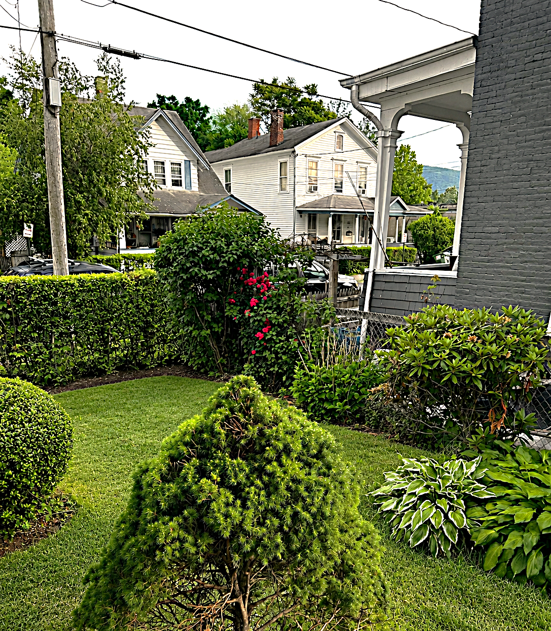 11 Hermance St unit 1 – photo 2