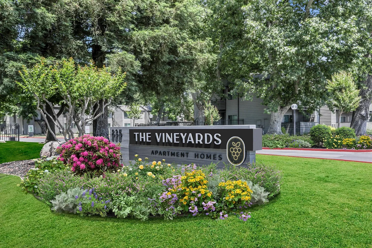 Vineyards – photo 5