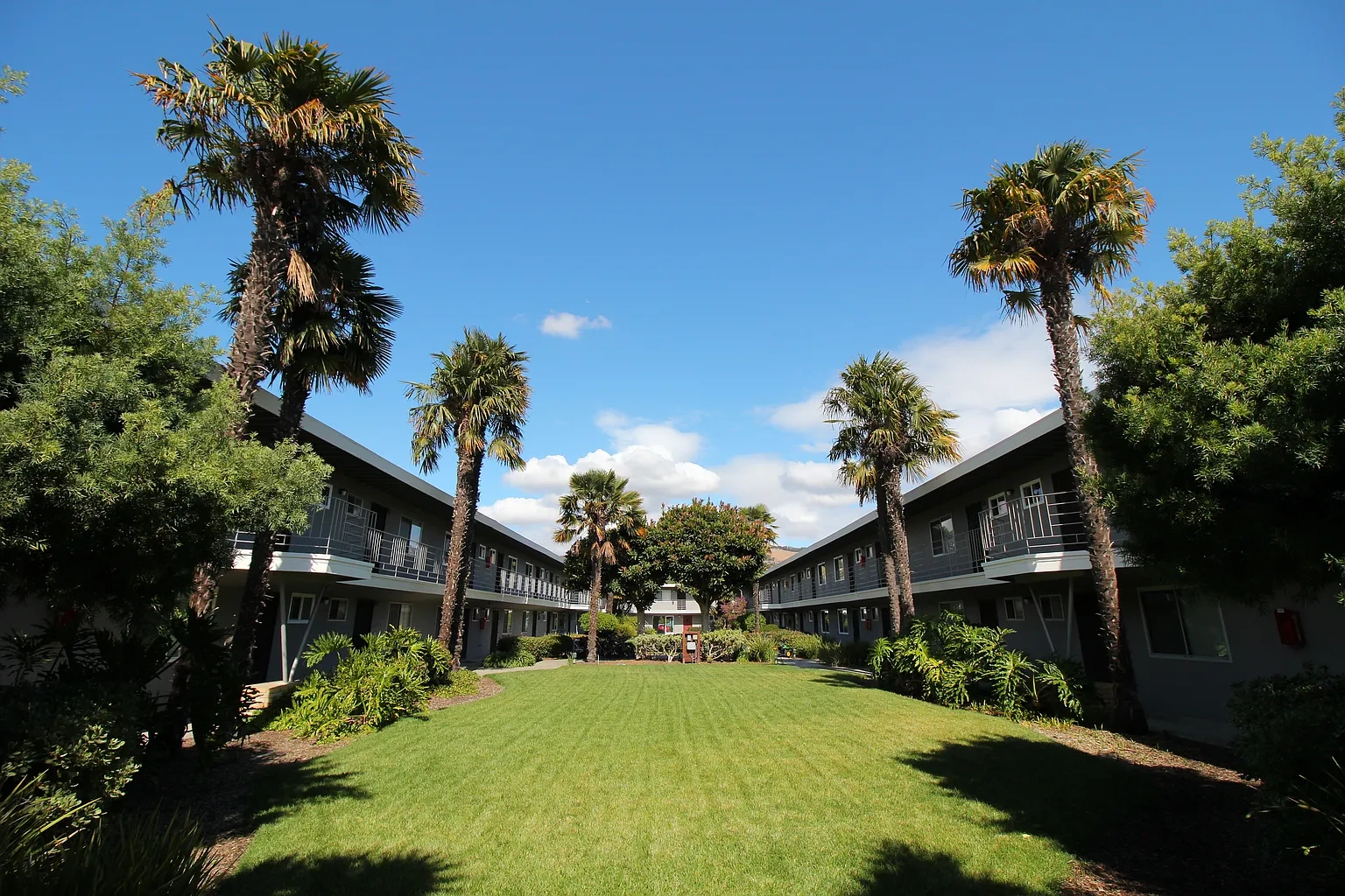 Parklane – photo 2