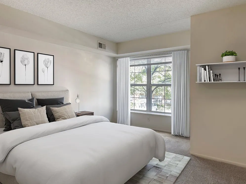 Avalon Cove – photo 4
