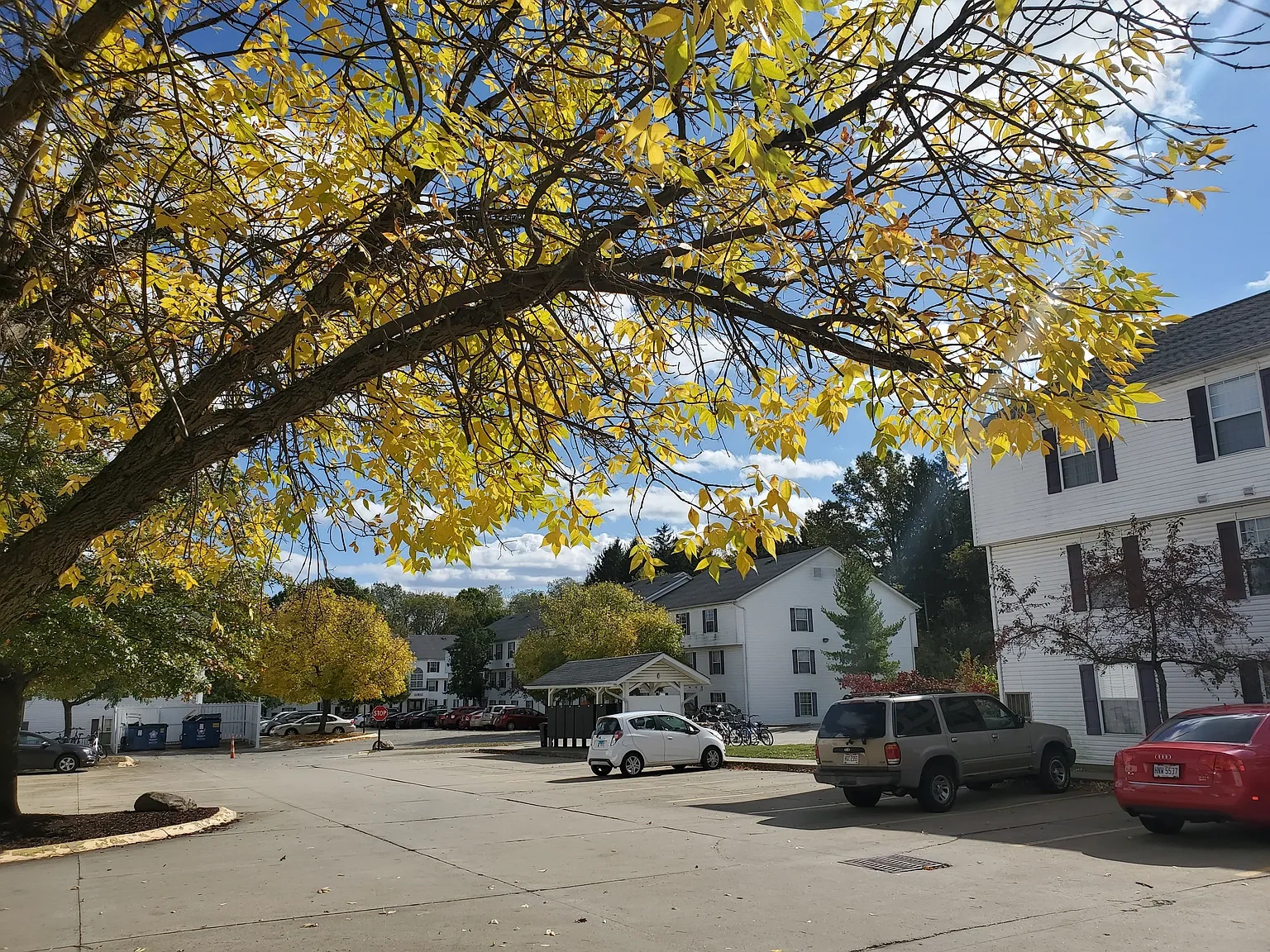 Holly Park Apartments – photo 3
