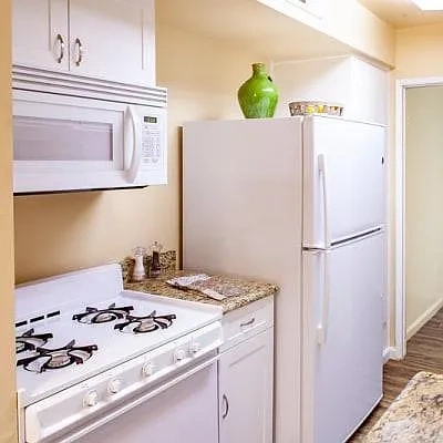 Country Village Senior Apartments - 55+ – photo 4