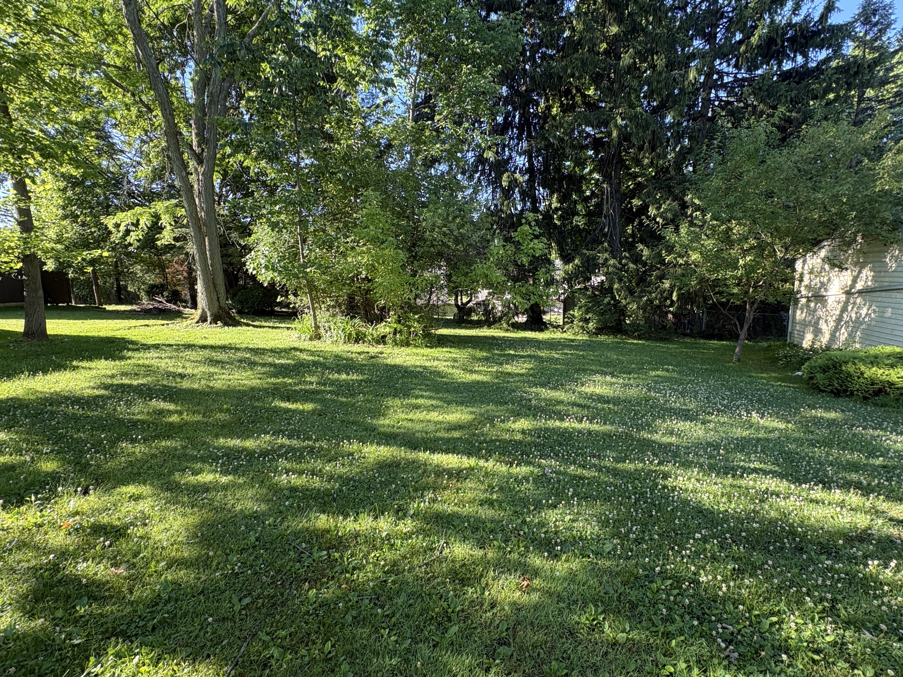 256 Monroe Dr – photo 4
