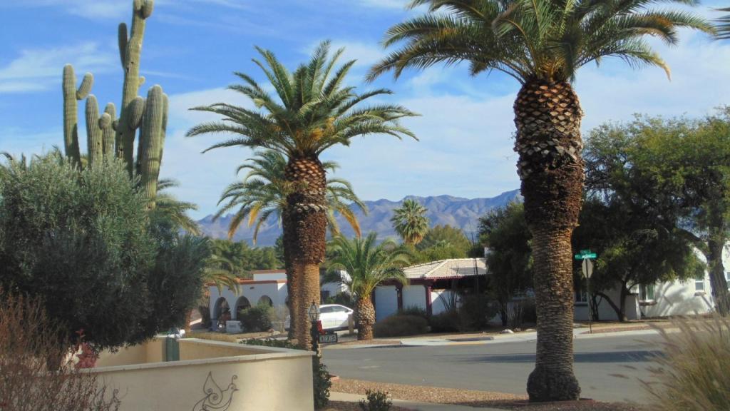 161 E El Valle – photo 4