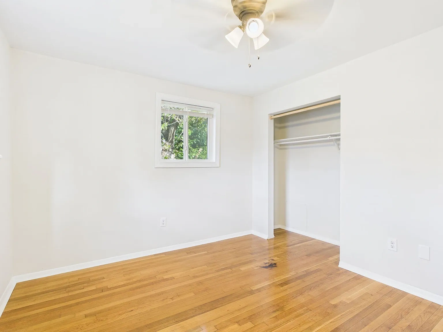 3117 Meadowbridge – photo 4
