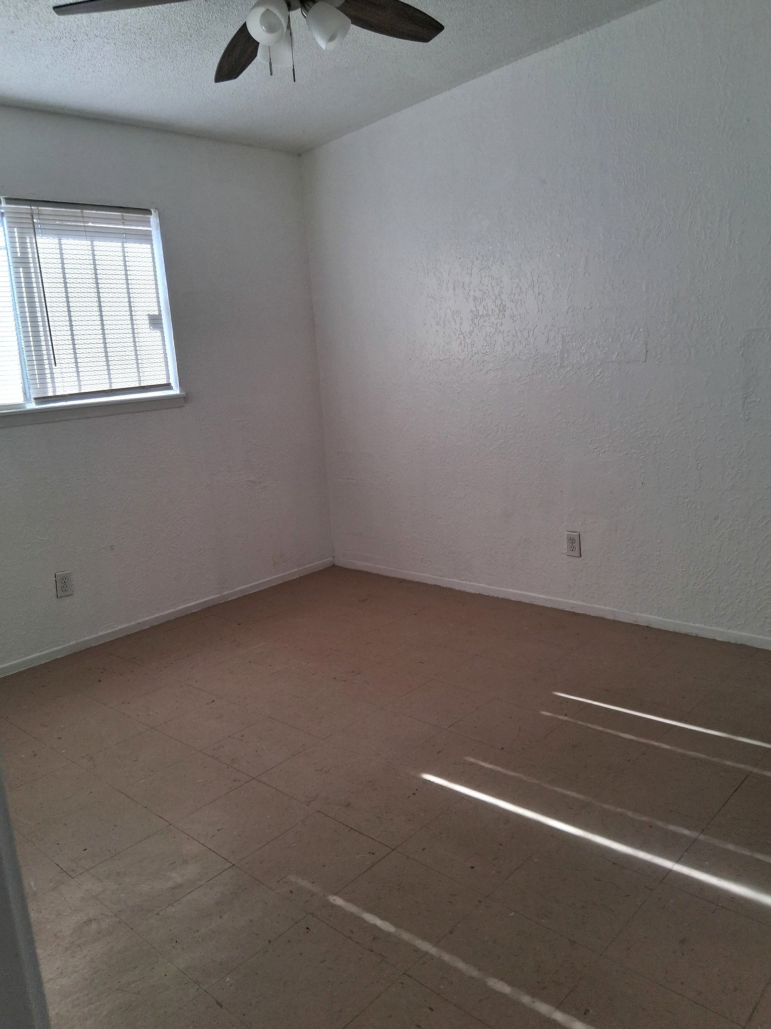 4429 Moonlight Ave unit 12 – photo 4