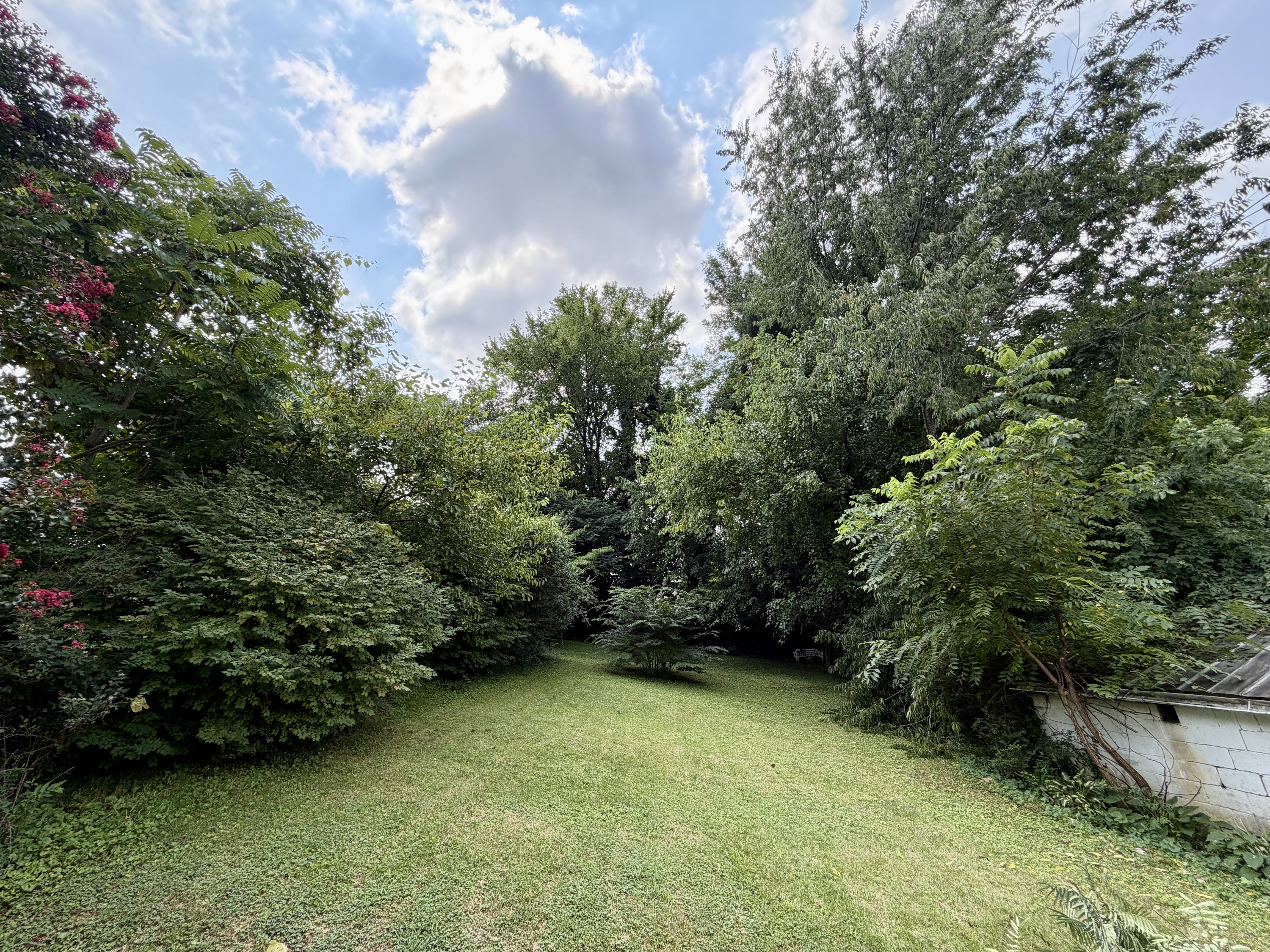 219 Bourne Ave – photo 3