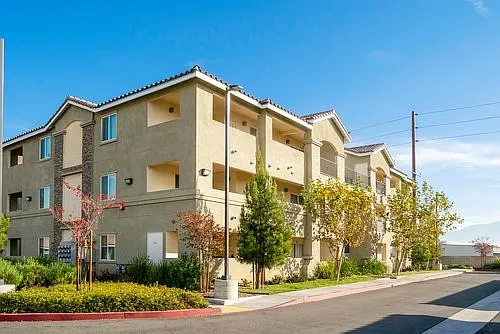 Echo Apartments – photo 4