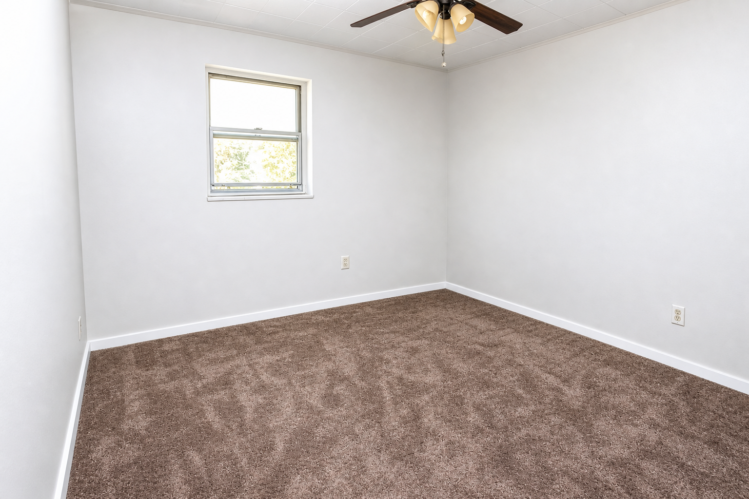530 Kelly Ave unit 7 – photo 5