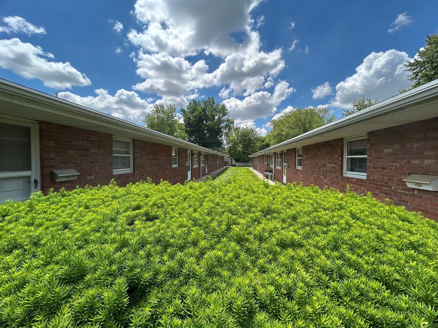 207 E Newkirk St unit 3 – photo 2