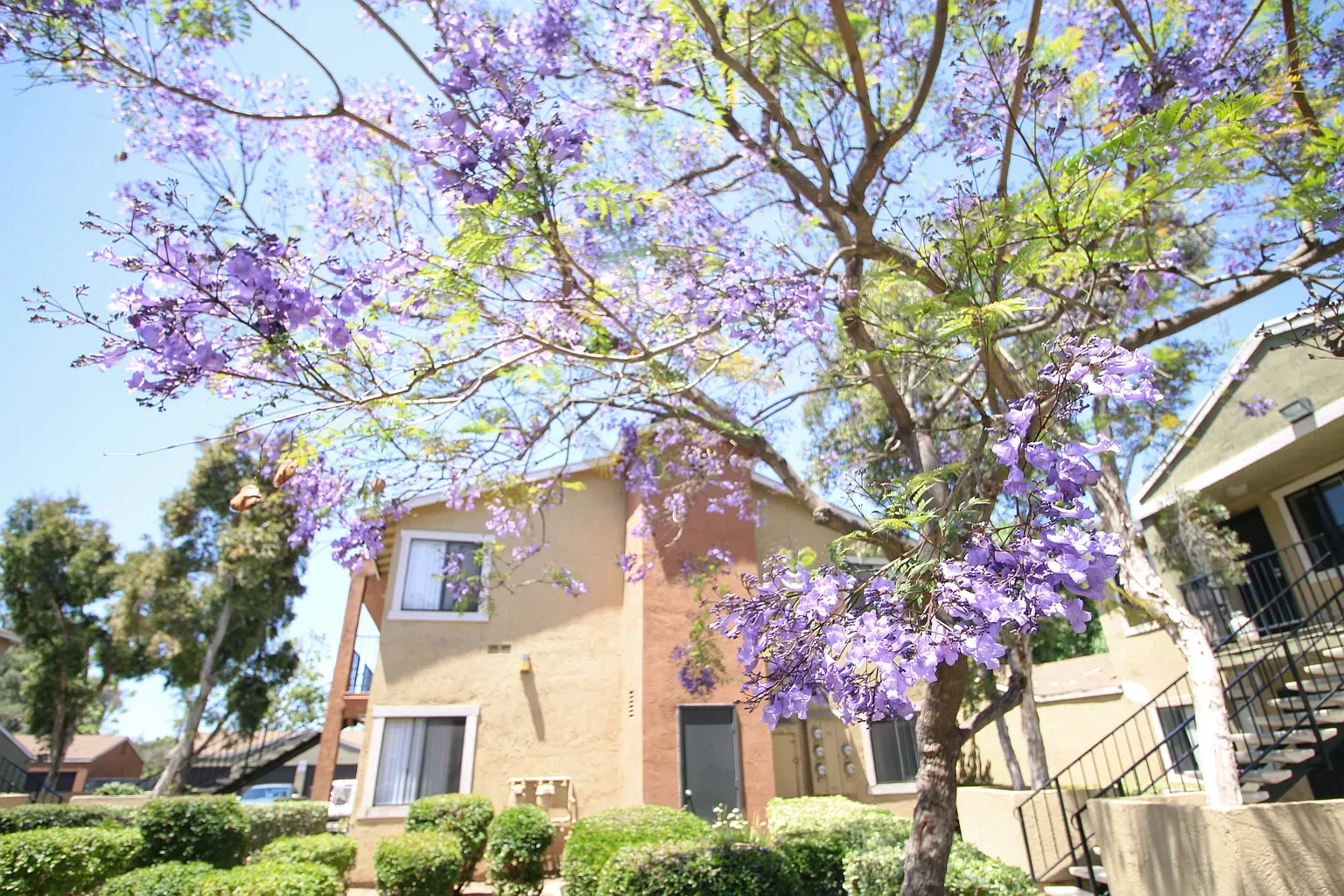 Creekside Villas Apartments – photo 1