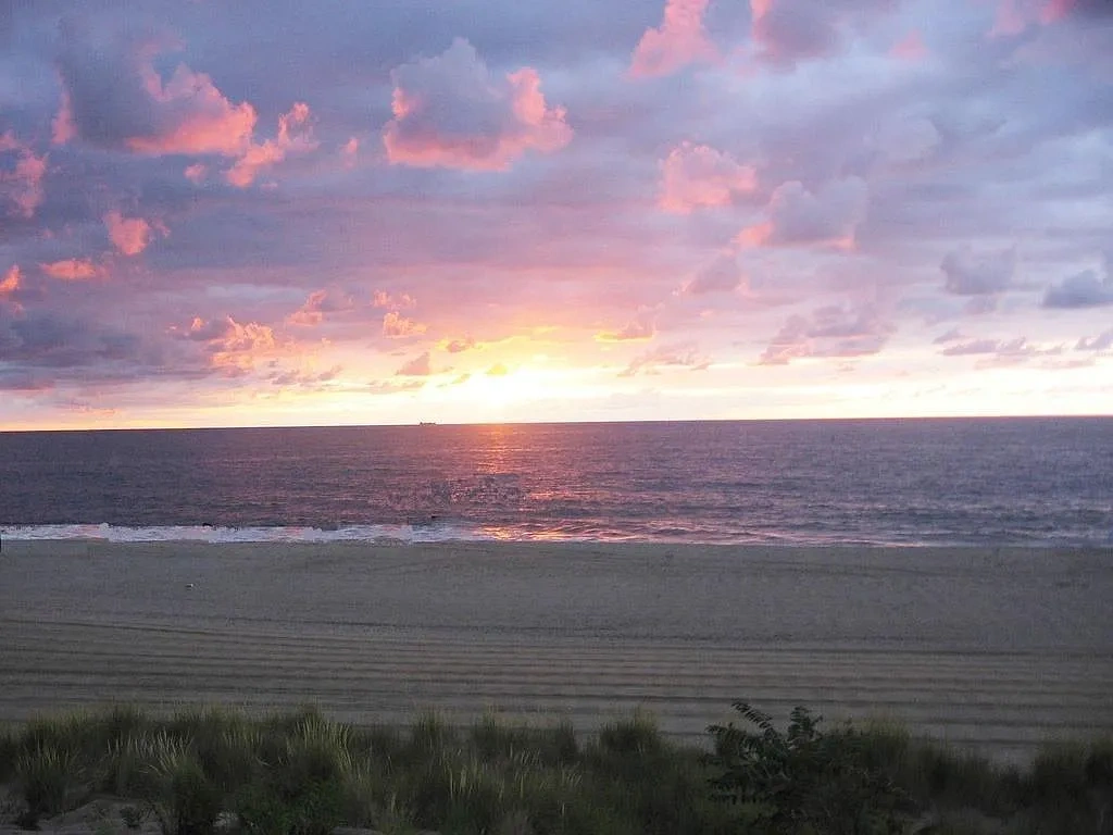 Sea Verge – photo 1