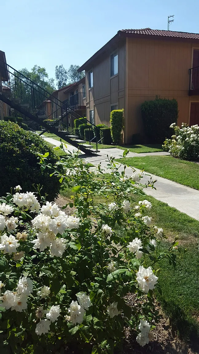 VICTORIA PARK APARTMENTS – photo 4